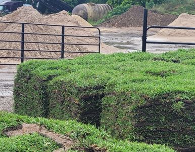 raleigh st augustine grass and landscape materials for sale in Spring TX